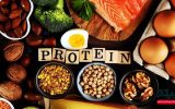مواد غذایی پروتئین دار برای لاغری و عضله سازی