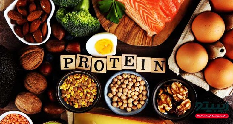 مواد غذایی پروتئین دار برای لاغری و عضله سازی