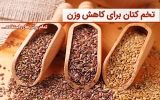 تخم کتان برای لاغری|داروی لاغری با تخم کتان