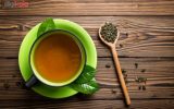 دمنوش کرفس و چای سبز چربی سوزی عالی برای لاغری