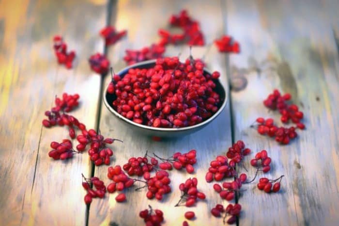 خواص فوق العاده دمنوش زرشک برای لاغری شکم + طرز تهیه خواص فوق العاده دمنوش زرشک برای لاغری شکم + طرز تهیه