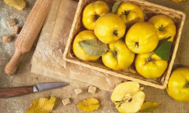 عوارض خطرناک بوییدن پوست میوه به که شاید نمی دانید
