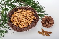 خواص فوق‌العاده چلغوز (Chilgoza Pine) + روش مصرف