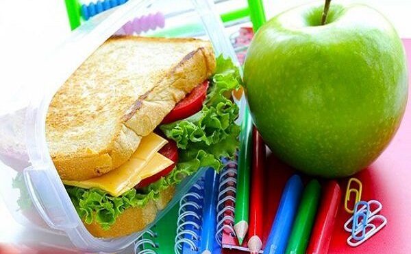 باورهای غلط در طب سنتی باید اصلاح شود