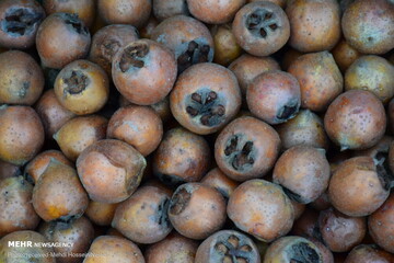 خواص فوقالعاده این میوه برای قلب و مغز خواص فوقالعاده این میوه برای قلب و مغز