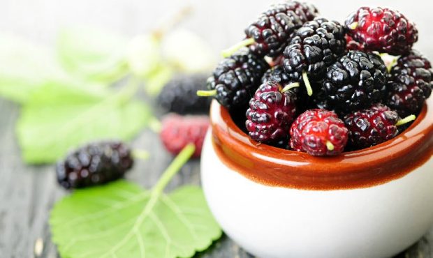 کالری شاتوت | بهترین روش مصرف شاتوت برای لاغری