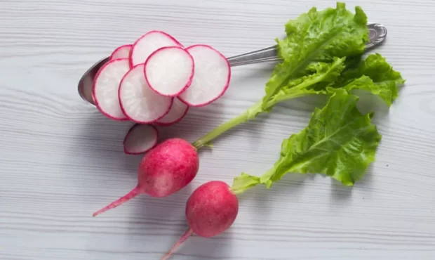 کالری تربچه | خواص بی نظیر تربچه برای سلامتی