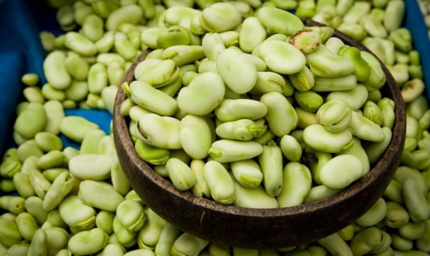 کالری باقالی | آیا واقعا باقلا لاغر می ‌کنه ؟