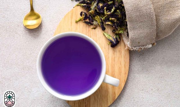 خواص شگفت انگیز دمنوش گل گاو زبان