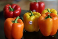 کالری فلفل دلمه | خواص شگفت انگیز فلفل دلمه ای سبز