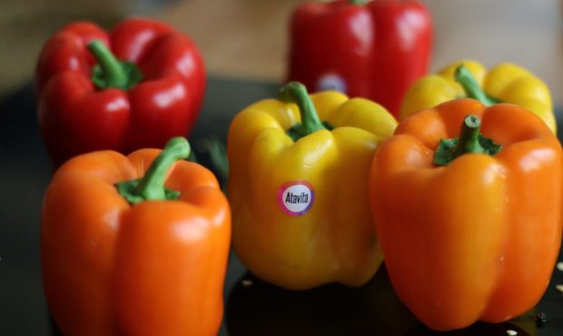 کالری فلفل دلمه | خواص شگفت انگیز فلفل دلمه ای سبز