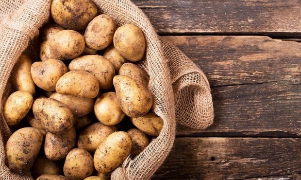 کالری سیب زمینی چقدر است؟ کالری سیب زمینی چقدر است؟