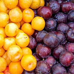 تفاوت کالری آلو زرد با کالری آلو قرمز ( راهنمای کالری سوزی میوه آلو)