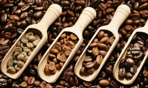 تفاوت قهوه دارک رست و لایت رست؛ کدام سالم‌تر است؟