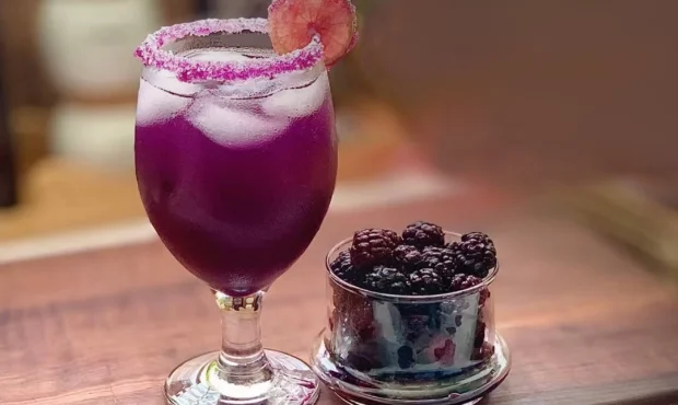 طرز تهیه شربت شاه توت خانگی ساده و فوری