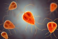 عفونت انگلی واژن؛ هر آنچه باید بدانید