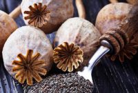 طرز تهیه چای خشخاش ( دمنوش پوست خشخاش )