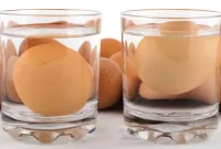 ۶ روش تشخیص تخم مرغ سالم