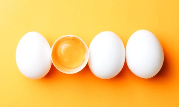خواص تخم مرغ | ۲۵ خاصیت فوق العاده و شگفت انگیز