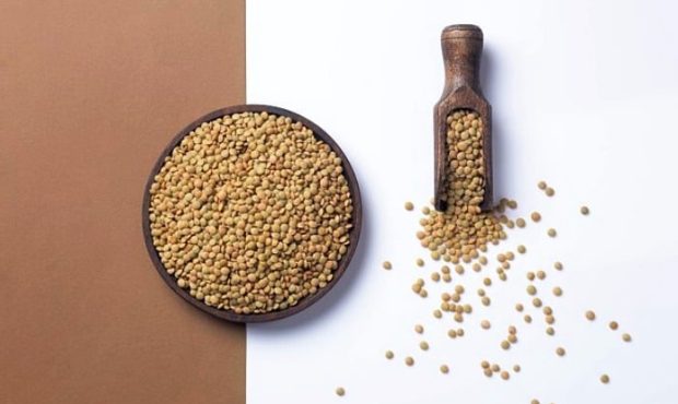 لیست انواع غذا با عدس به صورت ساده و رژیمی+ خواص عدس